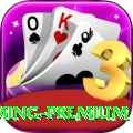 666w - Gaming Premium