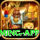 Pak Jackpot Game Gold Gaming App